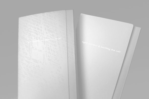 light, contour & exciting the cell (artist book)