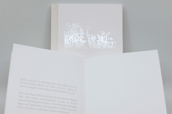light, contour & exciting the cell (artist book)