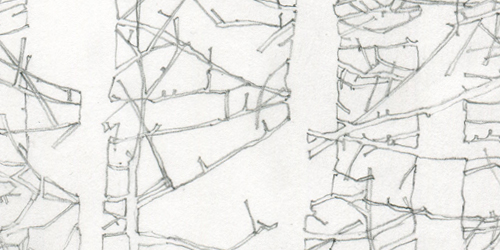 forest for the trees