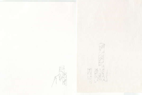 forest for the trees III, 2019  |   pencil on bristol & paper