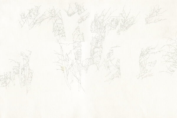 forest for the trees I, 2018  |   pencil on paper