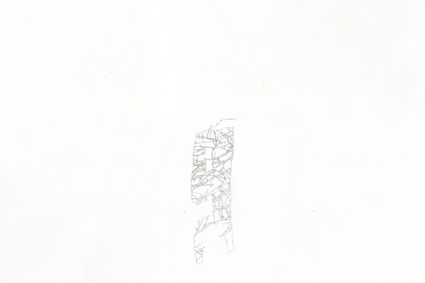 forest for the trees IV, 2020  |   pencil on bristol