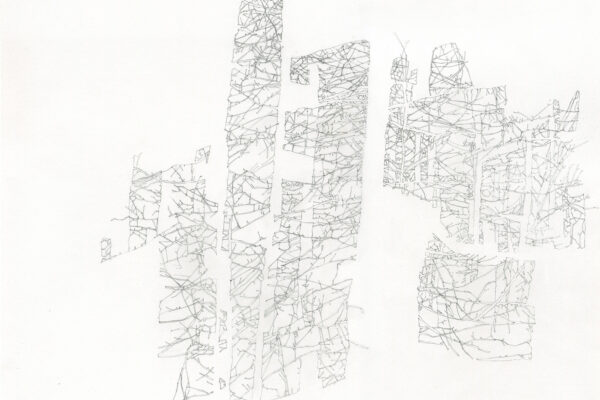 forest for the trees VI, 2020  |   pencil on bristol