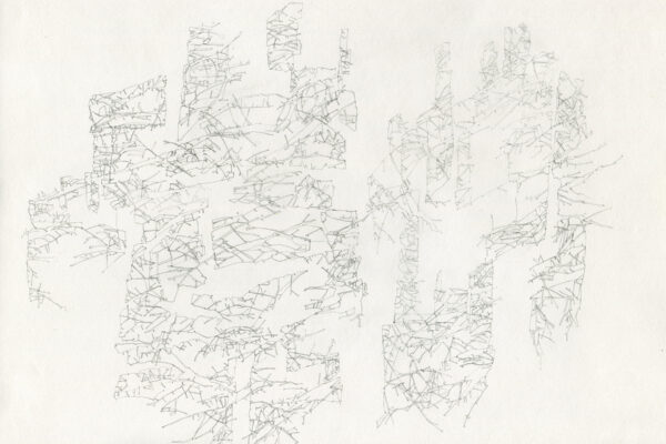 forest for the trees VII, 2020  |   pencil on paper